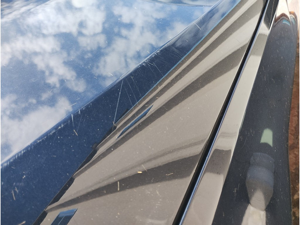 BMW X4 xDrive20d Msport 48V